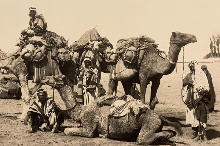 يا عم يا جمّال | ماضي وحاضر فن الحداء