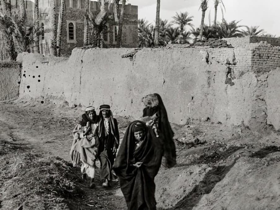 شنهو ذنبي | أغاني الريف العراقي وثيقةً اجتماعية وسياسية