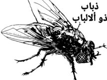 تراب سوداوي في ألبوم جاي جاي القصير الجديد