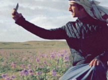زلزلة الترندات | الشيلات من سباق الهجن إلى التيك توك